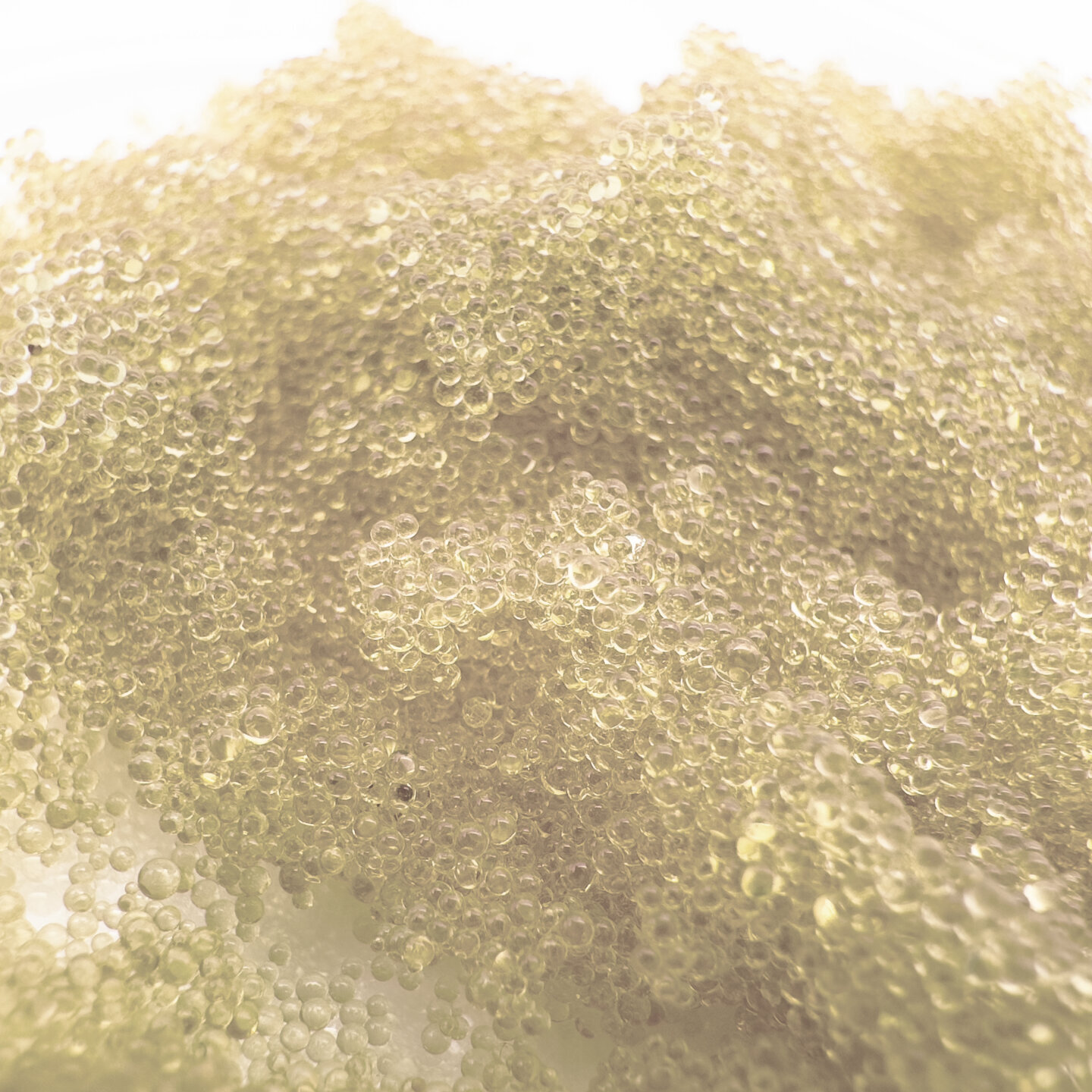 RS341_Produktfoto-Ionenaustauscherharz AN-G Anionen RS341_Produktfoto-Ionenaustauscherharz AN-G Anionen